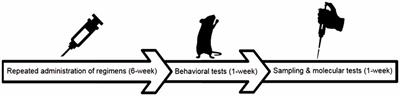 Nicotine Modulates Cognitive Function in D-Galactose-Induced Senescence in Mice